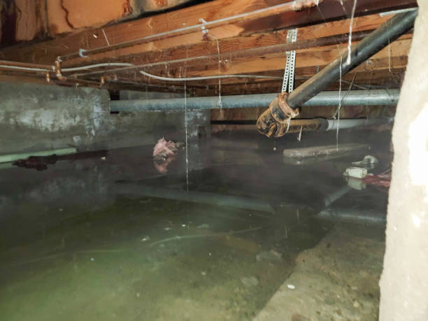 Best 24-hour water damage restoration  in Montclair, CA