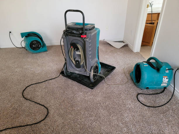 Best Water damage restoration experts  in Montclair, CA