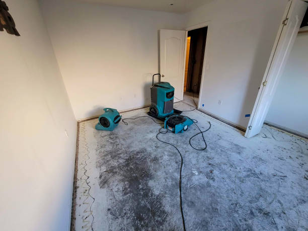 Best Flood damage cleanup  in Montclair, CA