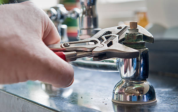 Best Mold removal after water damage  in Montclair, CA