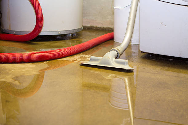 Best Water damage restoration near me  in Montclair, CA