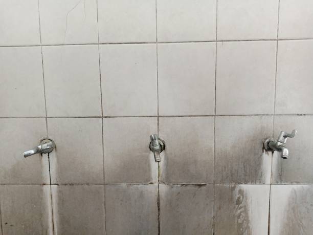 Best Carpet water damage restoration  in Montclair, CA