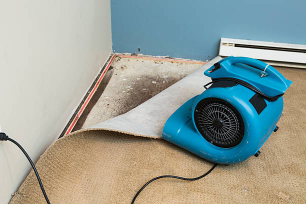  Montclair, CA Water damage restoration Pros